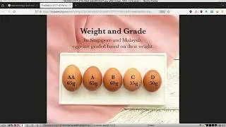 Standard Egg Sizes in Malaysia