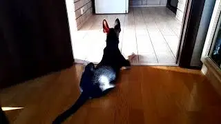 охрана дома