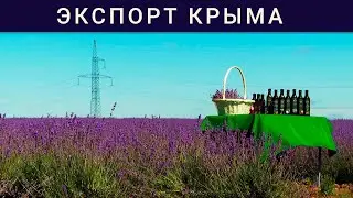 Крымский экспорт не остановить. Экспансия продолжается! Итоги года.