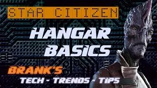 Star Citizen - Hangar Basics