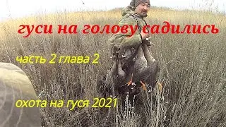 гуси на голову садились охота на гуся часть 2 глава 2 