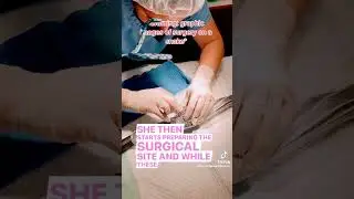 Snake surgery