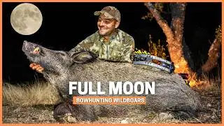 Wild Boar Bow Hunt After Dark: Anatomy, Ethics, and a 7-Meter Shot