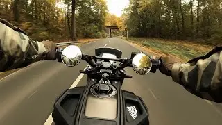 Relaxing autumn ride | Husqvarna Svartpilen 401 | Berlin
