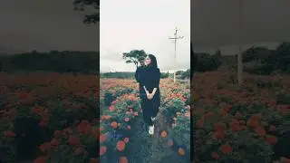 💕🌹lovely status video 🥵 ||WhatsApp love status video||😙🥵 #mood #trending#shorts #short #shortvideo
