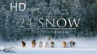 24 SNOW film trailer (ENG) / 24 СНЕГА