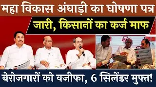 महा विकास अंघाड़ी  का घोषणा पत्र जारी होते ही एनडीए में खलबली!#vipinbebaak