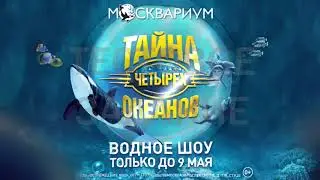 Океанариум