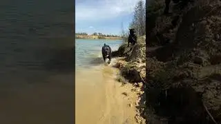 Папа с сыном🥰