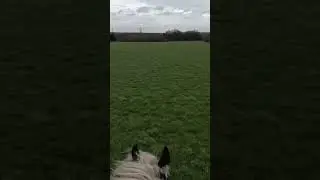 Horse Valley to Real Life - GoPro edition!!