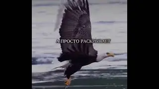не отвлекайся, а продолжай идти дальше