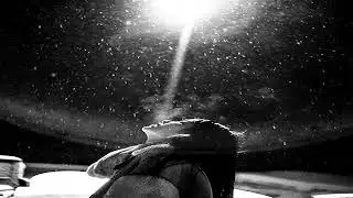 Tiger Army / Forever fades away