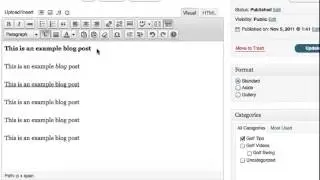 How To Format a Blog Post