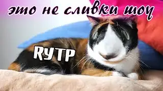 It's not SLIVKI SHOW!