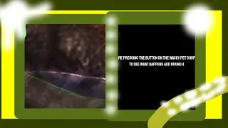 Me Pressing The Button On The Wacky Pet Shop To See What Happens Add Round 4