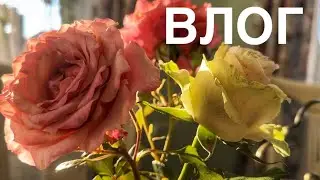 ВЛОГ. Хвастаюсь подарками, покупками, знакомствами)