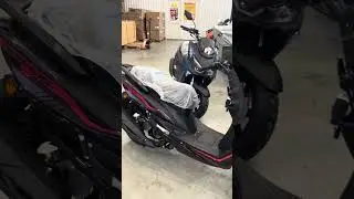 Поступление МаксиСкутеров PROMAX MAGNUS 200(49) в мотосалон X-MOTORS г.Тюмень