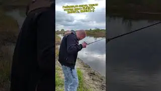 Послышалось? 