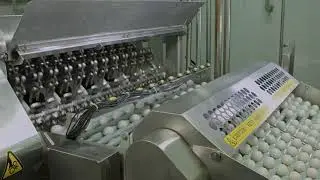 MOBA PELBO SYNCHRO 400 HIGH EFFICIENCY EGG BREAKING SEPARATING  SYSTEM 180.000 eph