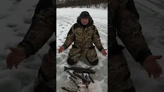 УДАЧНАЯ ЗИМНЯЯ РЫБАЛКА