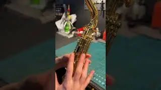 How does the Sax 8ve mechanism work? | 