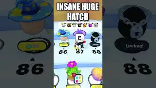 INSANE HUGE HATCH!
