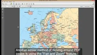 Pan and Zoom Feature