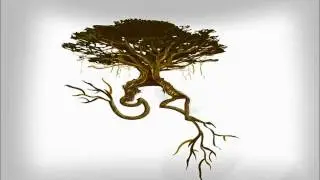 Taura Safaa- Dekha (দেখা) VOB