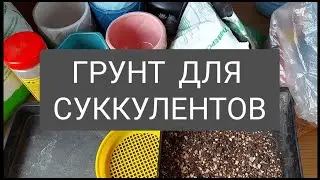 Почва для суккулентов