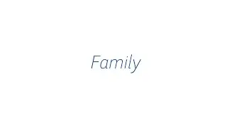 Flow Automotive Companies - Family