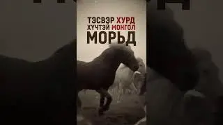 Монголчуудын нүүдлийн соёлын амин сүнс нь морь юм.