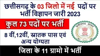 Cg Recruitment : छ.ग 73 पदों पर भर्ती | 11 village job vacancy 2023 | 8th 12th pass job news #cgjob
