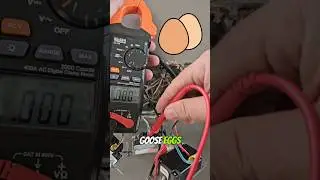 3 gang switch box stopped working time to troubleshoot.  Simon Electric