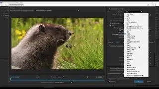 Рендеринг из программы After Effects с помощью  Media Encoder