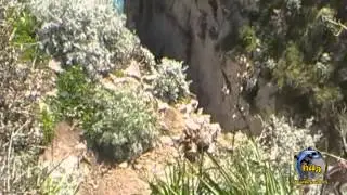 Il sentiero di Punta Campanella
