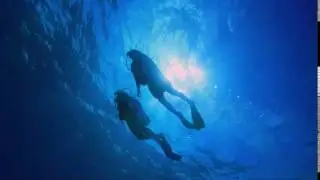 Scuba Diving - Release Stock Video Footage
