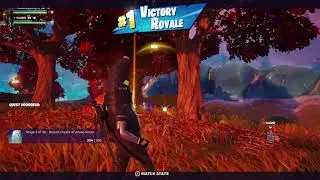 Fortnite - Father Son Duo Win