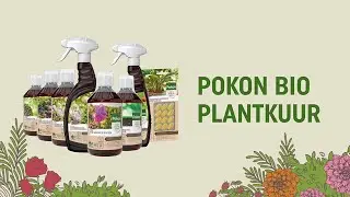 Pokon Bio Plantkuur | Hoe werkt het?