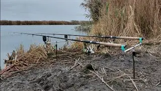 How to catch carp on the Dniester River. Carp fishing gear for the river. November 2022.
