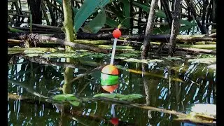 Рыбалка Без Слов от Первого Лица / Представь Что Ловишь Ты! На поплавочные удочки🐟