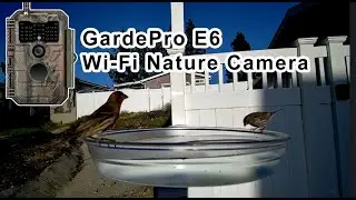 GardePro E6 Camera Footage