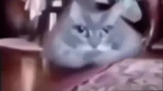 телевизор Тун Тун телевизор Тун Тун Тун
