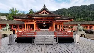 My Japan Odyssey 2022 - Day 8 - 09/07/2022 - Miyajima - Itsukushima -okonomiyaki - 嚴島神社 - 宮島 - お好み焼き