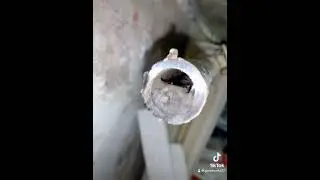Снаружи чистые, внутри заросшие