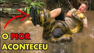 ELE DECIDIU LUTAR CONTRA A SUCURI E O PIOR ACONTECEU.