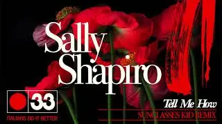 SALLY SHAPIRO 