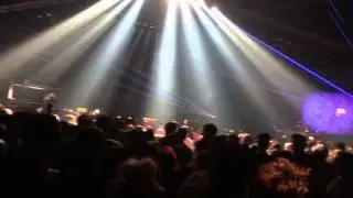 Bonzai
