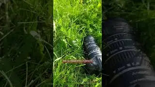 макроистория продолжается 