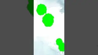 Free Green Screen Backgrounds 