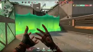 my tribute to the roza ult gods